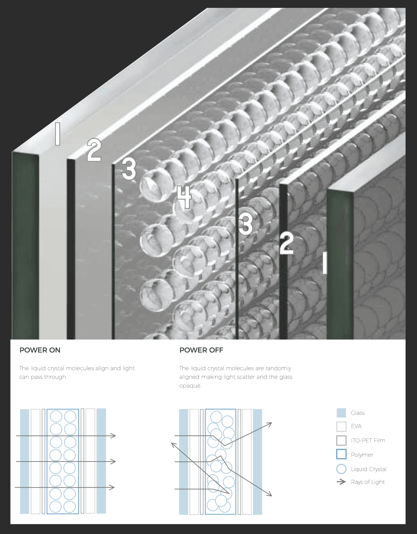 despre noi big graphic
